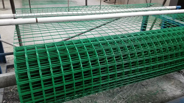 荷蘭網