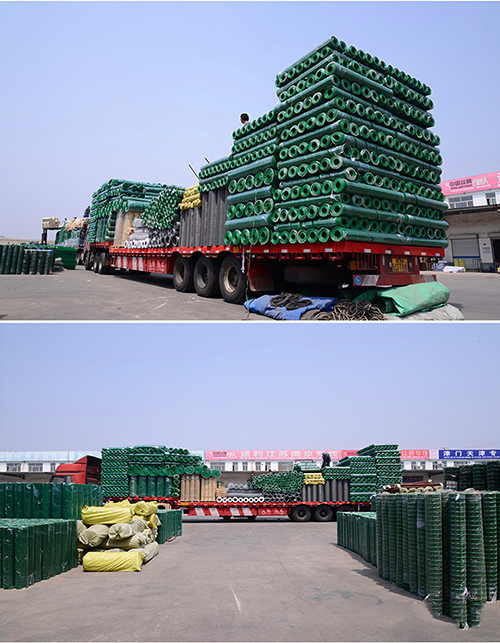 荷蘭網